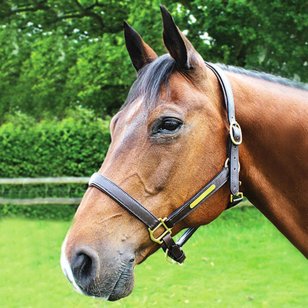 JHL Leather Headcollar