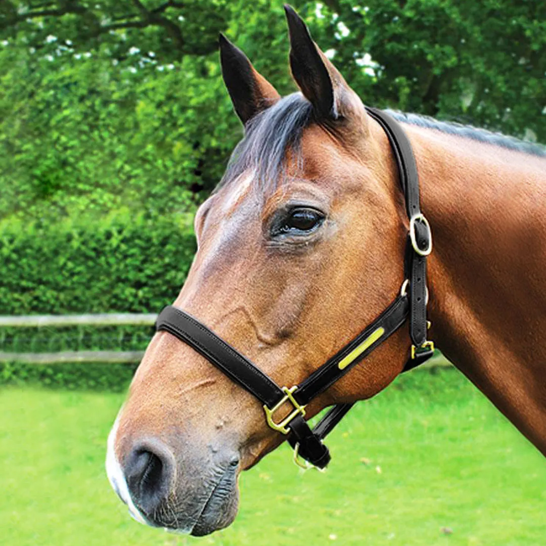 JHL Leather Headcollar