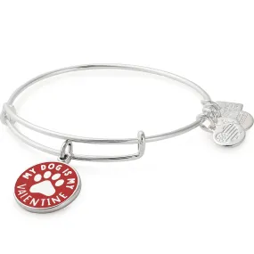 My Dog Is My Valentine Charm Bangle